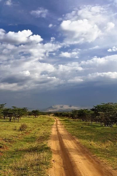 Primitive dirt road across the northern Serengeti, Serengeti National Park, Tanzania