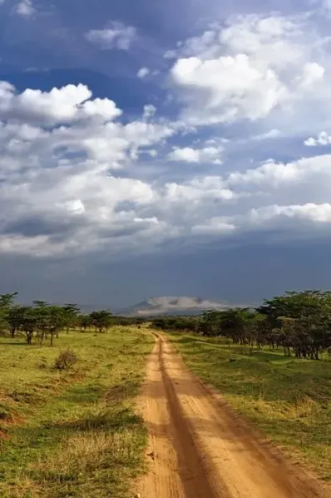 Framed Print : Primitive dirt road across the northern Serengeti, Serengeti National Park, Tanzania