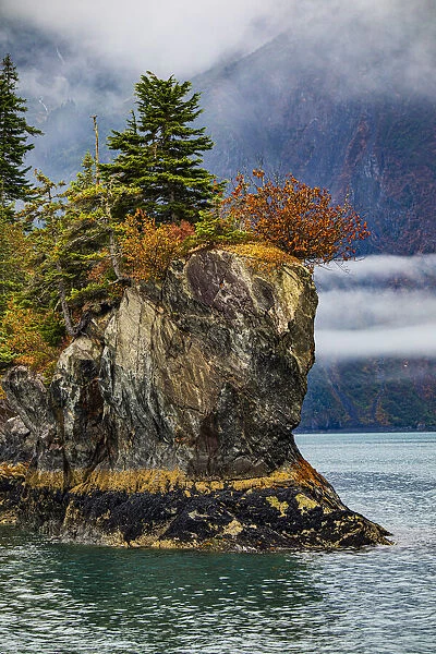 Prince William Sound, Alaska, Valdez, island, autumn, color, evergreen, fog