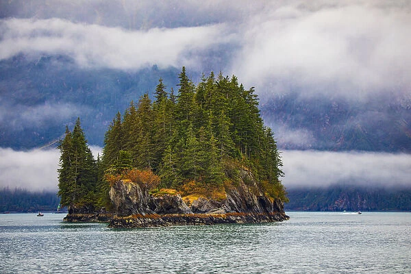 Prince William Sound, Alaska, Valdez, Island, evergreen trees, autumn, fog