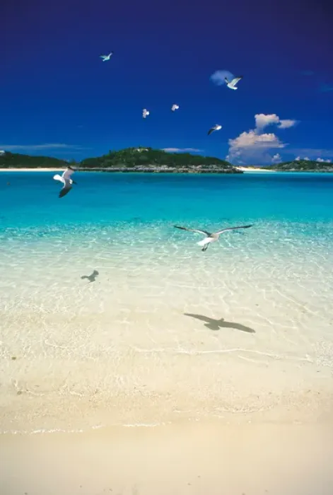 Framed Print : Pristine beach, Exuma Islands, Bahamas Framed Print : Pristine beach, Exuma Islands, Bahamas