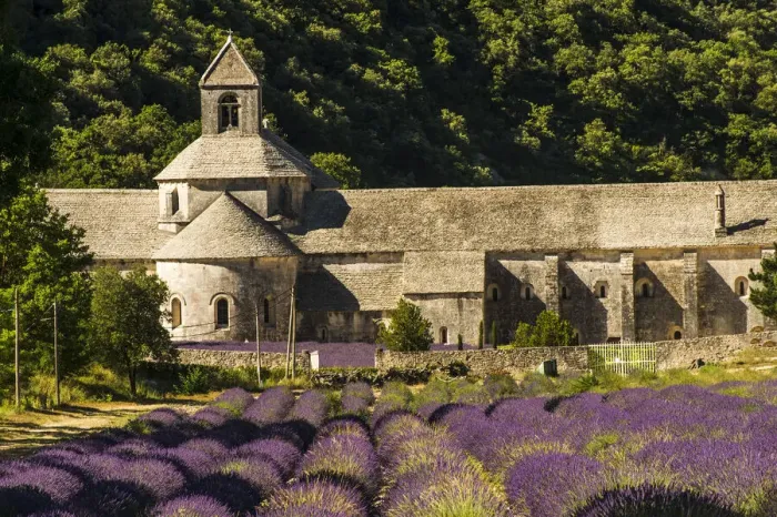 Framed Print : Provence, Abbey de Senanque at Lavender season Framed Print : Provence, Abbey de Senanque at Lavender season
