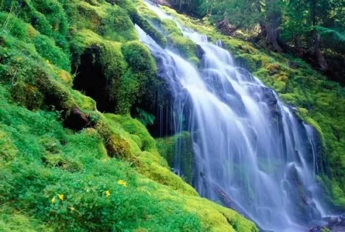 Framed Print : Proxy Falls in the central Oregon Cascades Framed Print : Proxy Falls in the central Oregon Cascades