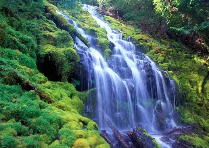 Framed Print : Proxy Falls over moss carpeted rocks in Oregons Central Cascade Mountains Framed Print : Proxy Falls over moss carpeted rocks in Oregons Central Cascade Mountains