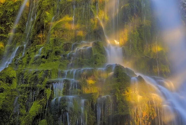 Proxy Falls in the Three Sisters Wilderness, Oregon, USA