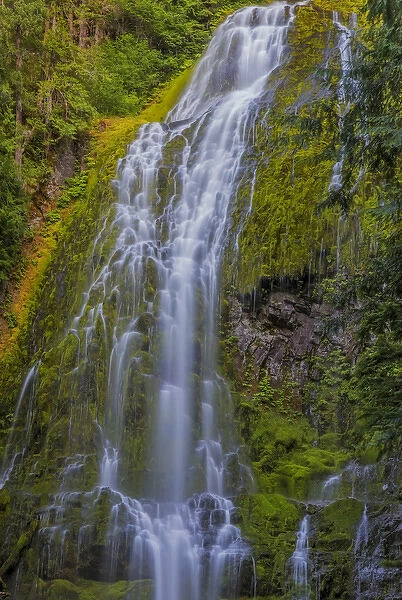 Proxy Falls in the Three Sisters Wilderness, Oregon, USA