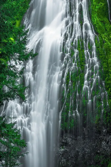 Framed Print : Proxy Falls, Three Sisters Wilderness, Oregon, USA Framed Print : Proxy Falls, Three Sisters Wilderness, Oregon, USA