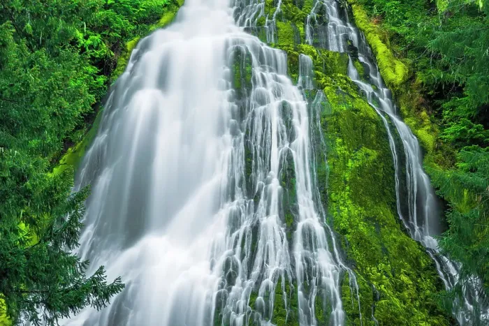 Framed Print : Proxy Falls, Three Sisters Wilderness, Oregon, USA Framed Print : Proxy Falls, Three Sisters Wilderness, Oregon, USA