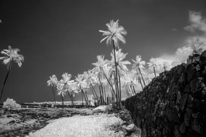 Framed Print : Pu uhonua o HAcnaunau, The Big Island, Hawaii, USA Framed Print : Pu uhonua o HAcnaunau, The Big Island, Hawaii, USA