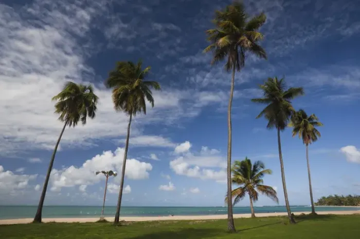 Framed Print : Puerto Rico, East Coast, Luquillo, Playa Luquillo Beach, palms Framed Print : Puerto Rico, East Coast, Luquillo, Playa Luquillo Beach, palms