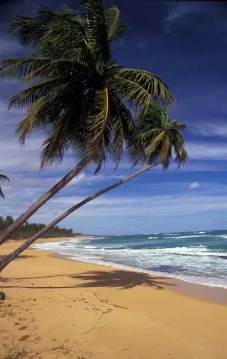 Framed Print : Puerto Rico. Pinones Beach Framed Print : Puerto Rico. Pinones Beach