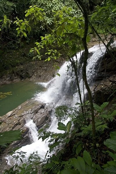 Puma Waterfall in the Veragua Rainforest Research and Adventure Park near Limon, Costa Rica