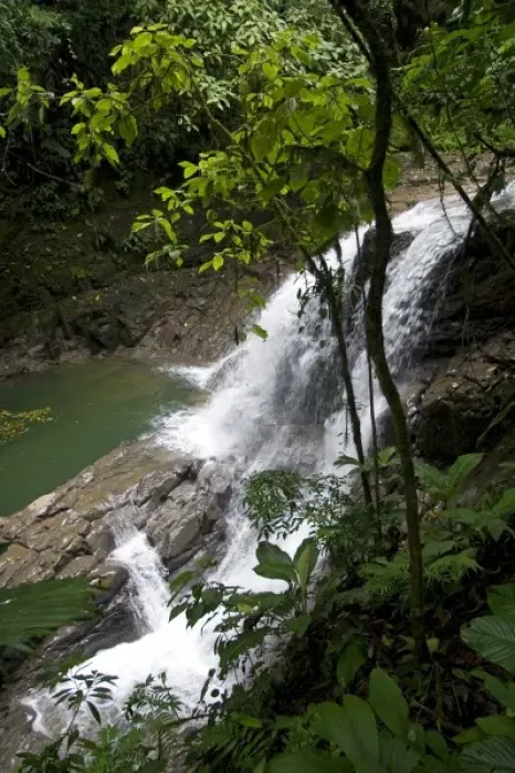 Framed Print : Puma Waterfall in the Veragua Rainforest Research and Adventure Park near Limon, Costa Rica Framed Print : Puma Waterfall in the Veragua Rainforest Research and Adventure Park near Limon, Costa Rica