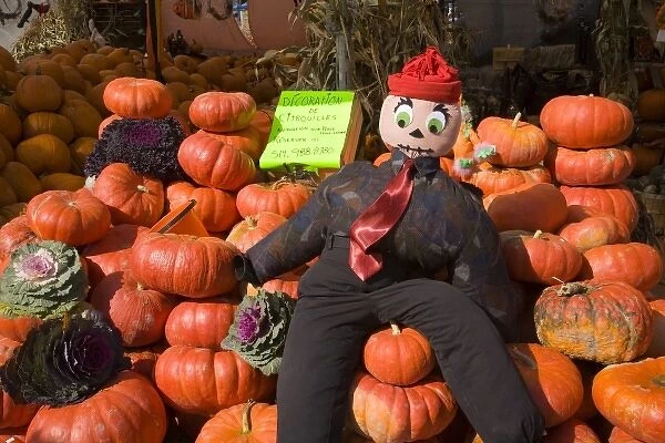 Pumpkins and scarecrow at a market in Montreal, Quebec, Canada