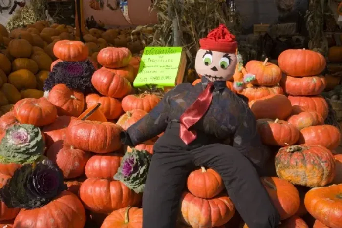Framed Print : Pumpkins and scarecrow at a market in Montreal, Quebec, Canada Framed Print : Pumpkins and scarecrow at a market in Montreal, Quebec, Canada
