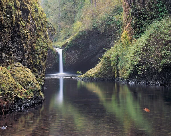 Punch Bowl Falls, Eagle Creek, Columbia River Gorge, Oregon