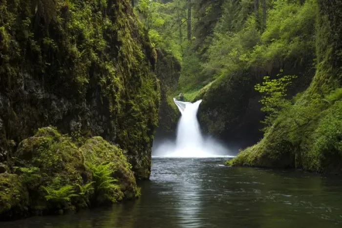 Framed Print : Punch Bowl Waterfall, Eagle Creek, Columbia River Gorge National Scenic Area, Oregon, USA Framed Print : Punch Bowl Waterfall, Eagle Creek, Columbia River Gorge National Scenic Area, Oregon, USA
