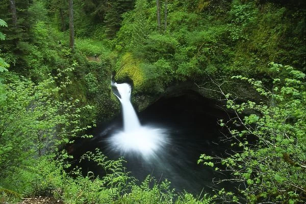 Punchbowl Falls on Eagle Creek, Columbia River Gorge National Scenic Area, Oregon, US