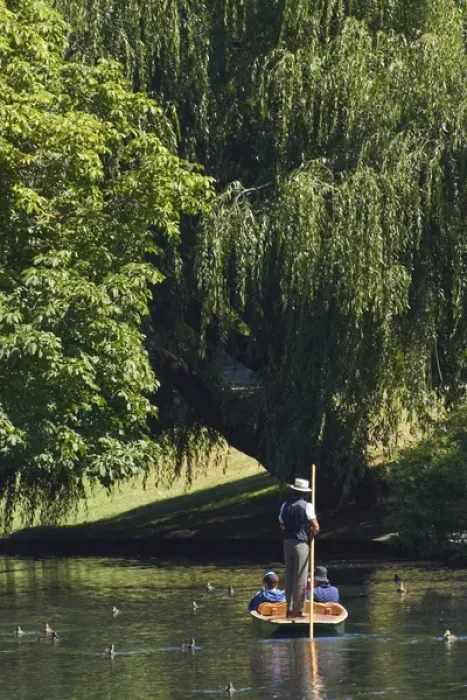 Framed Print : Punting on the Avon, Christchurch, Canterbury, South Island, New Zealand