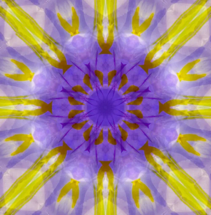 Framed Print : Purple and yellow kaleidoscope abstract Framed Print : Purple and yellow kaleidoscope abstract
