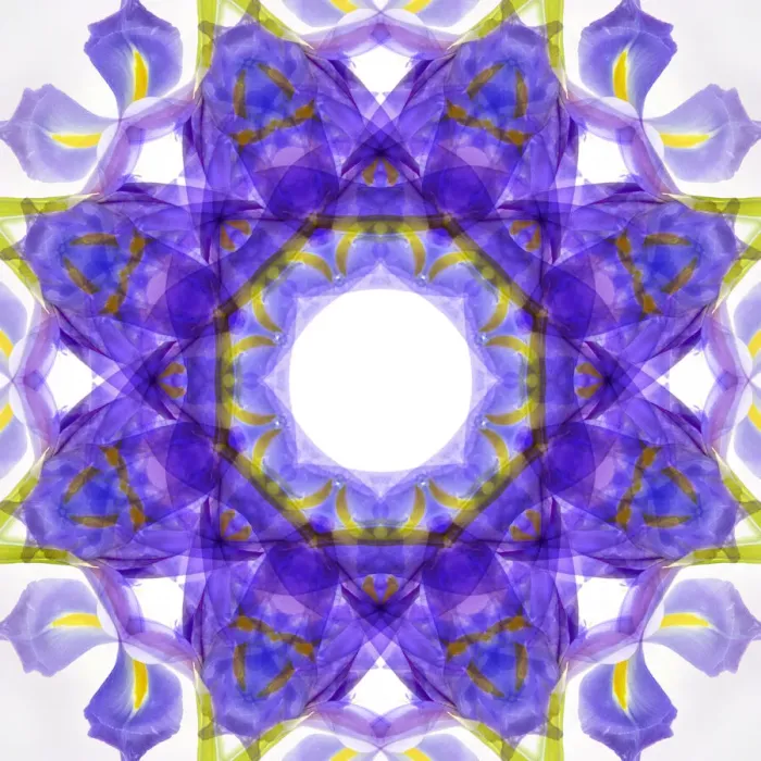 Framed Print : Purple and yellow kaleidoscope abstract Framed Print : Purple and yellow kaleidoscope abstract