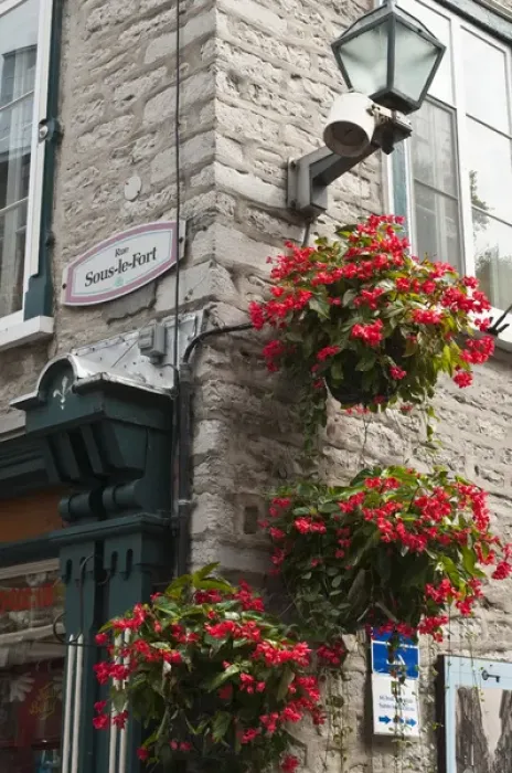 Framed Print : Quebec City, Quebec, Canada. Floral decorations in Old CIty Framed Print : Quebec City, Quebec, Canada. Floral decorations in Old CIty