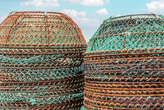 Framed Print : Quebec, Sept-Iles, Canada. Fishing nets