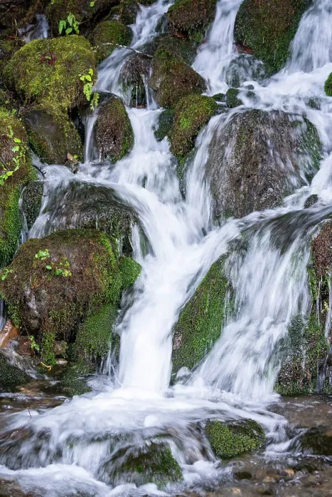 Framed Print : Quinault, Washington State, USA. Bunch Creek Falls in the Quinault Rainforest Framed Print : Quinault, Washington State, USA. Bunch Creek Falls in the Quinault Rainforest