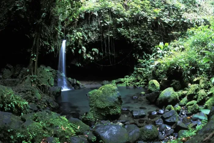 Framed Print : Rain forest Emerald Pool at Pittons National Park in Morne Trios, Dominica