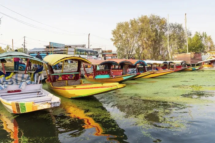 Framed Print : Rainawari, Srinagar, Jammu and Kashmir, India. October 24, 2022. Traditional shikara tourist boats at Dal Lake Framed Print : Rainawari, Srinagar, Jammu and Kashmir, India. October 24, 2022. Traditional shikara tourist boats at Dal Lake