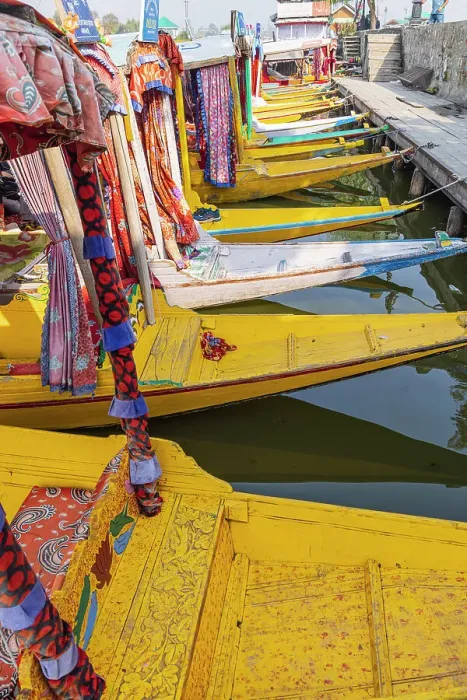 Framed Print : Rainawari, Srinagar, Jammu and Kashmir, India. Colorful tour boats at Lake Dal