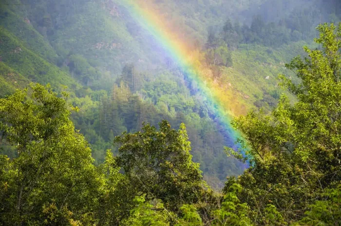 Framed Print : Rainbow in Andrew Molera State Park, California, USA