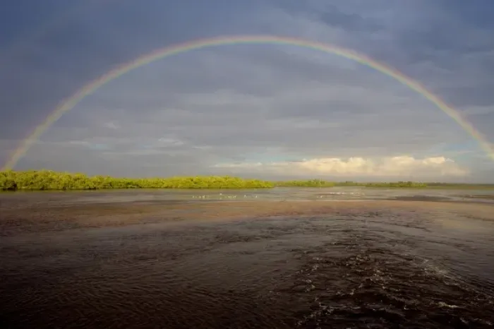 Framed Print : Rainbow over Ding Darling, Ding Darling NWR, Florida Framed Print : Rainbow over Ding Darling, Ding Darling NWR, Florida