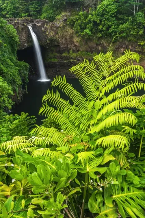 Framed Print : Rainbow Falls, Wailuku River State Park, Hilo, The Big Island, Hawaii Framed Print : Rainbow Falls, Wailuku River State Park, Hilo, The Big Island, Hawaii