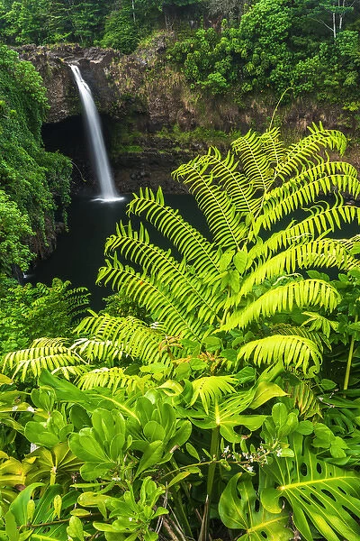 Rainbow Falls, Wailuku River State Park, Hilo, The Big Island, Hawaii
