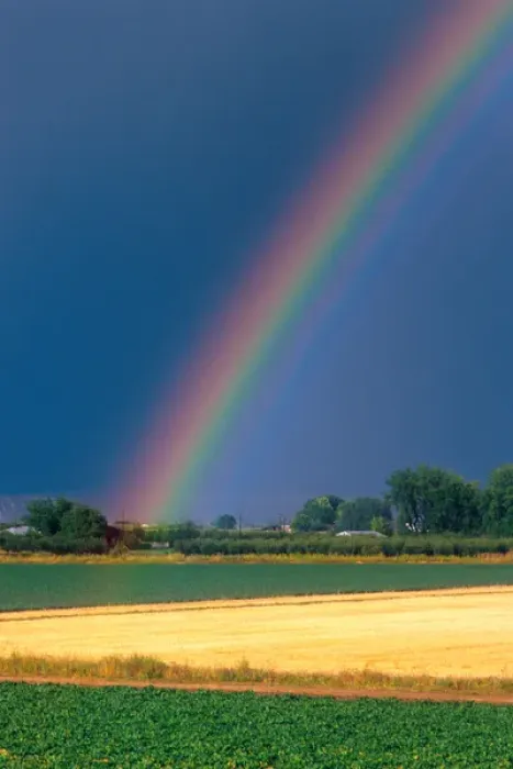 Framed Print : Rainbow over rural Idaho. rain, rainbow, weather, storm, refraction, color spectrum Framed Print : Rainbow over rural Idaho. rain, rainbow, weather, storm, refraction, color spectrum