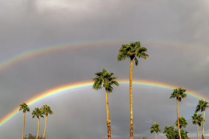 Framed Print : Rainbows over palm trees in Palm Springs, California, USA Framed Print : Rainbows over palm trees in Palm Springs, California, USA