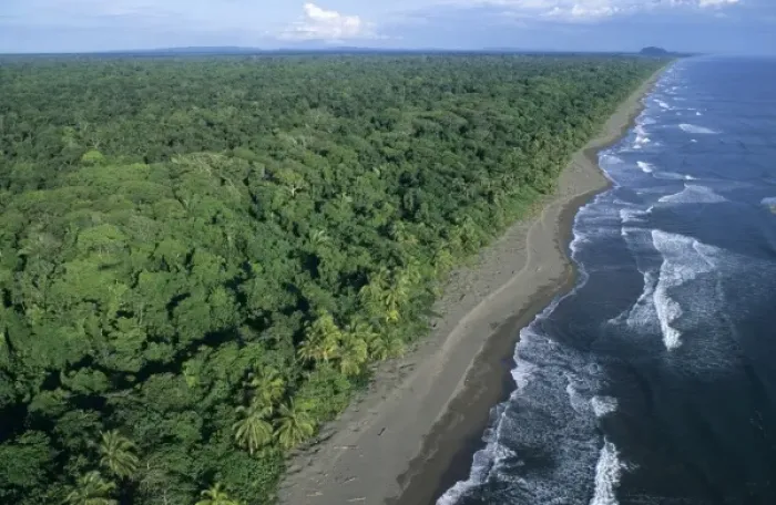 Framed Print : Rainforest and Sea Turtle nesting beach, Tortuguero National Park, Costa Rica Framed Print : Rainforest and Sea Turtle nesting beach, Tortuguero National Park, Costa Rica