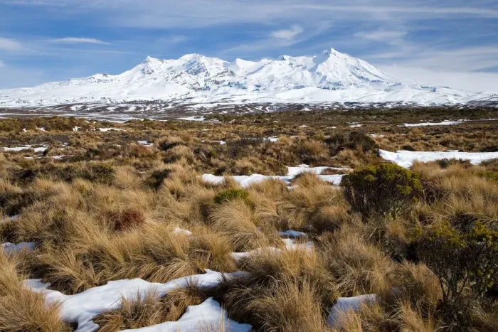 Framed Print : Rangipo Desert and Mt Ruapehu, Central Plateau, North Island, New Zealand Framed Print : Rangipo Desert and Mt Ruapehu, Central Plateau, North Island, New Zealand