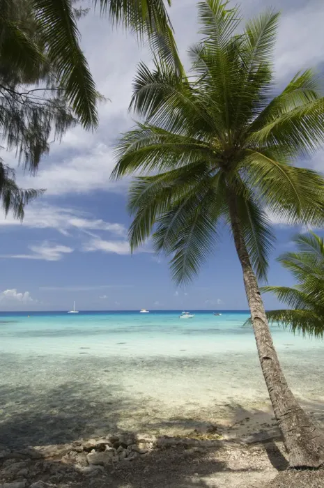 Framed Print : Rangiroa, Tuamotu Archipelago, French Polynesia Framed Print : Rangiroa, Tuamotu Archipelago, French Polynesia