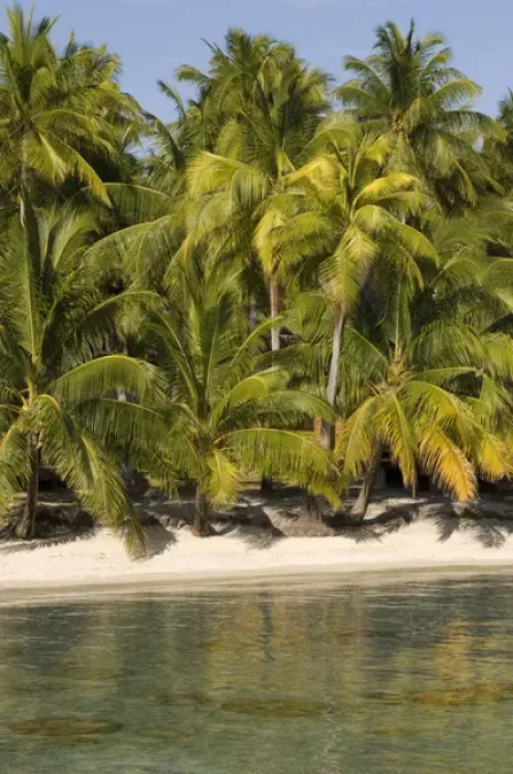 Framed Print : Rangiroa, Tuamotu Archipelago, French Polynesia Framed Print : Rangiroa, Tuamotu Archipelago, French Polynesia