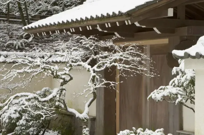 Framed Print : Rare snow at the Portland Japanese Garden, Oregon Framed Print : Rare snow at the Portland Japanese Garden, Oregon