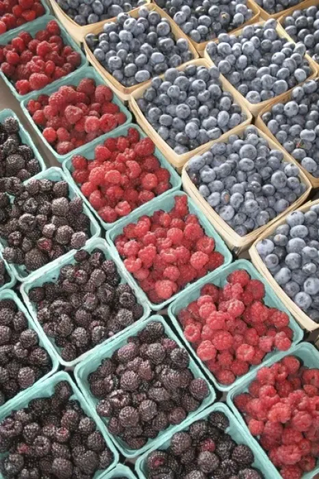 Framed Print : Raspberries blueberries at farmers market in South Haven Michigan Framed Print : Raspberries blueberries at farmers market in South Haven Michigan