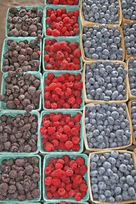 Framed Print : Raspberries blueberries at farmers market in South Haven Michigan