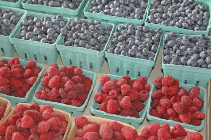 Framed Print : Raspberries blueberries at farmers market in South Haven Michigan Framed Print : Raspberries blueberries at farmers market in South Haven Michigan