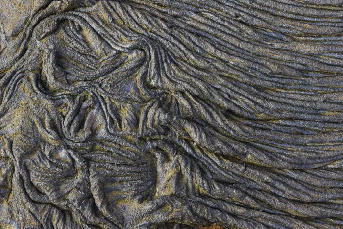 Framed Print : Recent Pahoehoe lava flow, Sullivan Bay, Santiago Island, Galapagos Islands, Ecuador