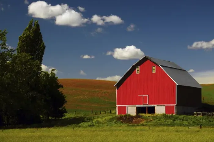 Framed Print : Red Barn in the Palouse Area, Whitman County, Washington, USA Framed Print : Red Barn in the Palouse Area, Whitman County, Washington, USA