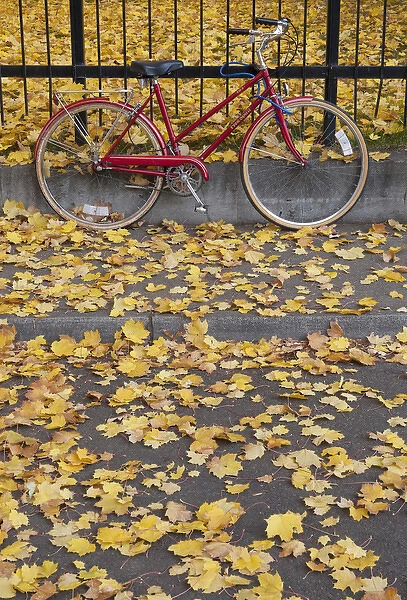 Red bicycle rests against a fence amidst yellow fallen leaves
