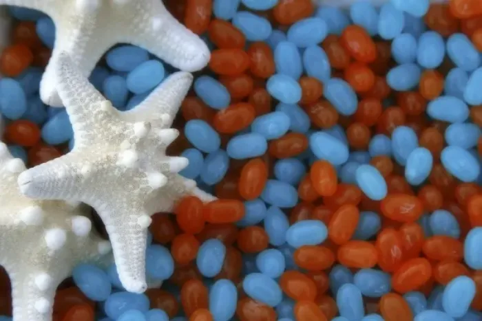 Framed Print : Red and blue jelly beans and white starfish
