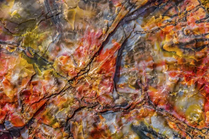 Framed Print : Red, blue, orange petrified wood, Visitor Center, Petrified Forest National Park, Arizona